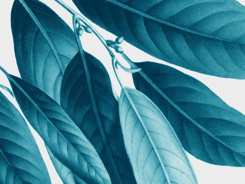 b268d8f6b17760476fa07195817b7f50