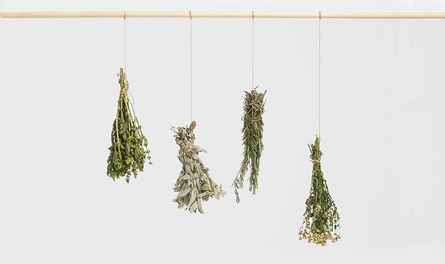 eaf5928c033d69905e0ede4bf75e3735