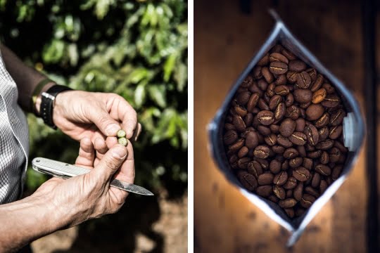 fd828ded4878147e21b421521eee4423